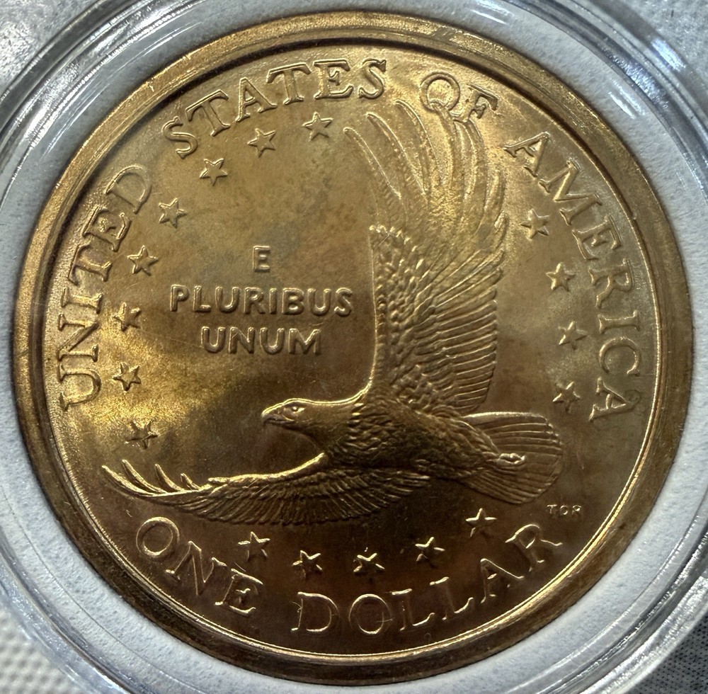 2000-P Sacagawea Dollar "Slightly Wounded Eagle" Error; DDO IGWT