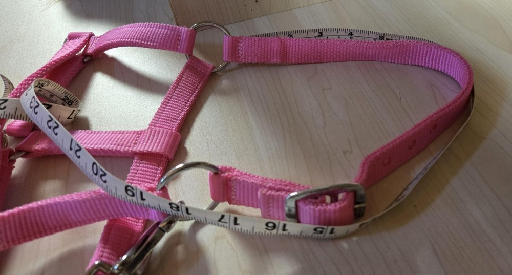 Miniature Horse Halter & Lead Combo