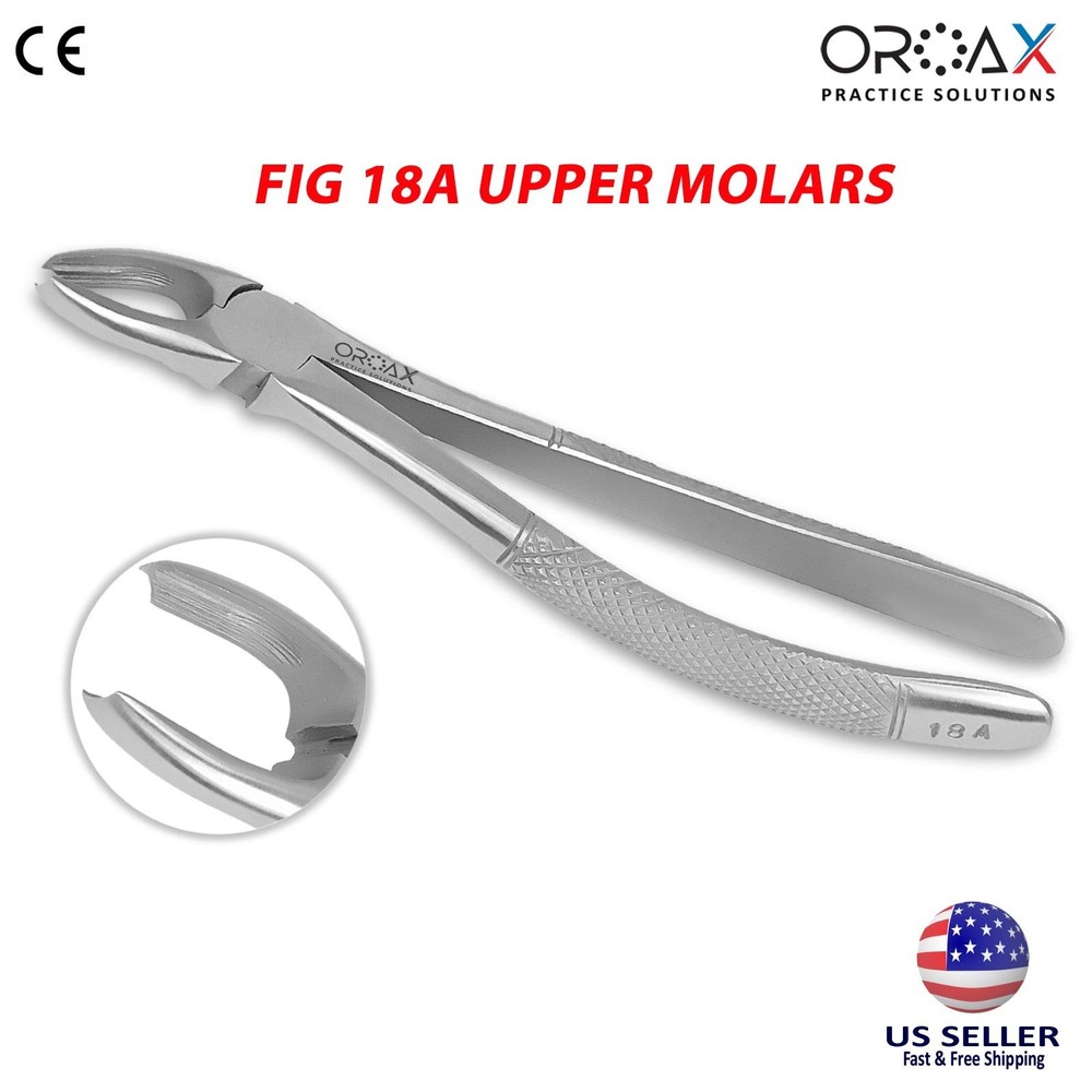 Oroax Fig 18A Dental Extraction Forceps Solid Handle Stainless Steel