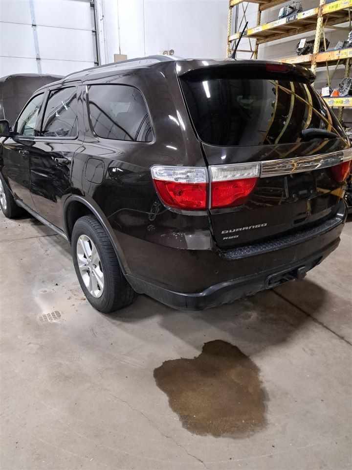 2012 Durango Jack Sku#4335339