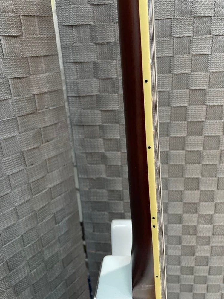 Bacchus BARON-STD/WH P90 Pickup with Case