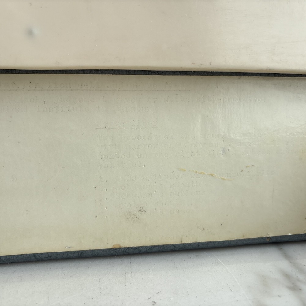 Neuron Model Nerve Cell Vintage German SOMSO