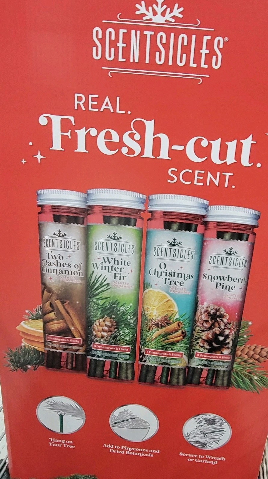 Scentsicles Scented Ornaments Spiced Pine Cones Scent 6 Count 4 Bottles 24 Total