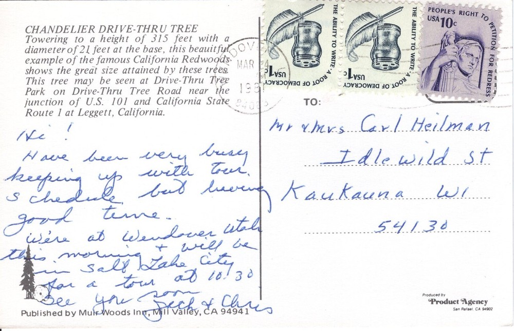 CHANDELIER TREE DRIVE-THRU TREE PARK, CA - PC1272