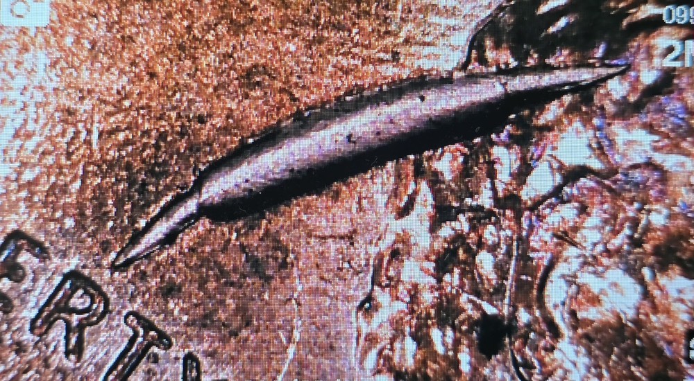 2010 Lincoln Shield Cent 💥Large Retained Strike Through Obverse Mint Error💥