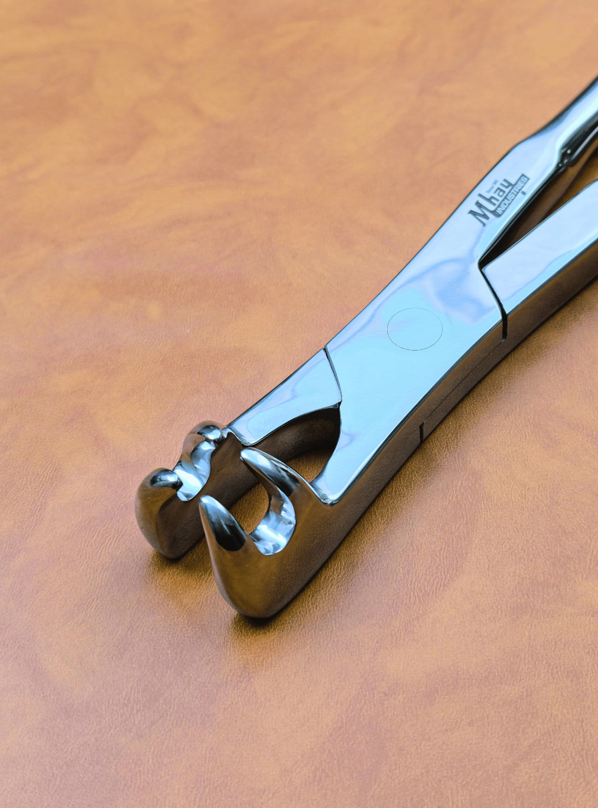 Equine Dental Forceps Four Prong 21"