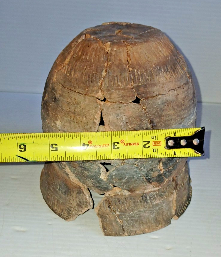 Pre-Columbian Native American Indian Mississippian Partial Pottery Jar Artifact