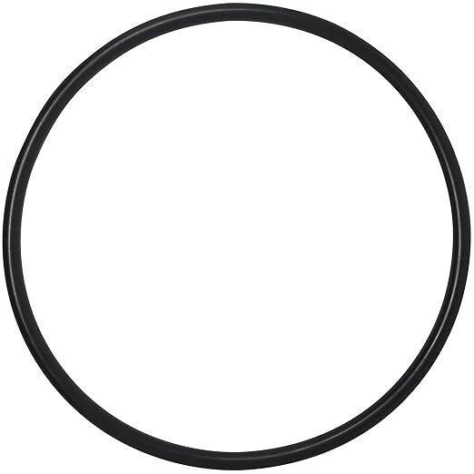 Replacement 35505-1440 Sta-Rite Pool Pump O-Ring for Max-E-Pro and IntelliPro
