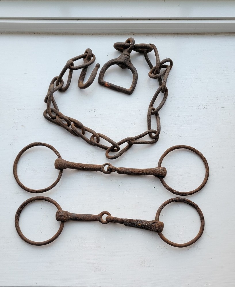Rustic Vintage Horse Tack Lot
