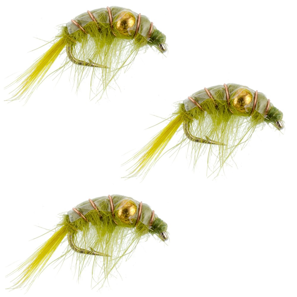 3 Pack Olive Beaded Shrimp Scud Pattern - Size 12