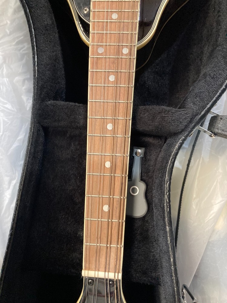 Taurus Mandolin TM-001 (Damaged case)