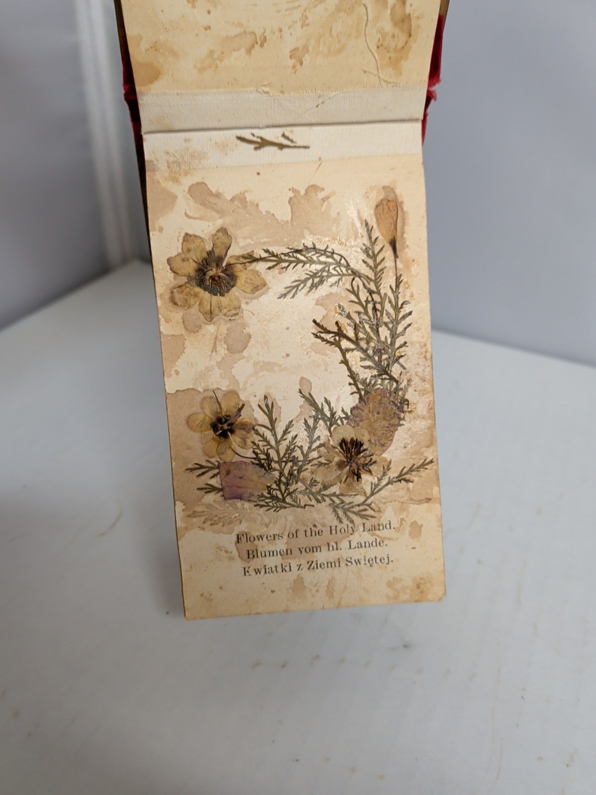 ANTIQUE Pressed Dried FLOWERS FROM ISRAEL Book OLIVE WOOD CARVED COVERS C4