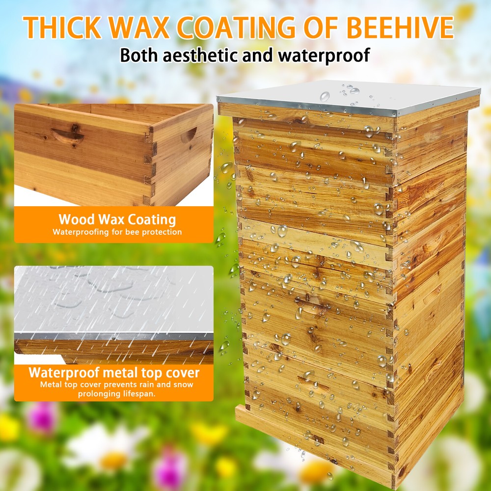 Natural Bees Wax Coated Bee Hive 1 Medium &2 Deep Boxes for Beginners No Frames
