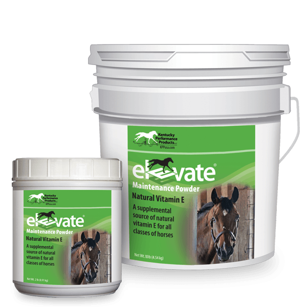 Kentucky Performance Elevate Maintenance Powder Natural Vitamin E Supplement 2lb
