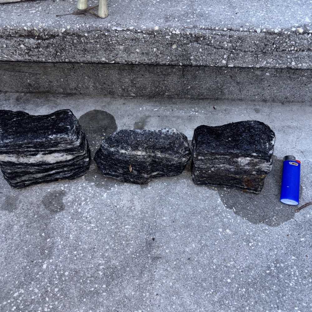 Gneiss Excellent Examples