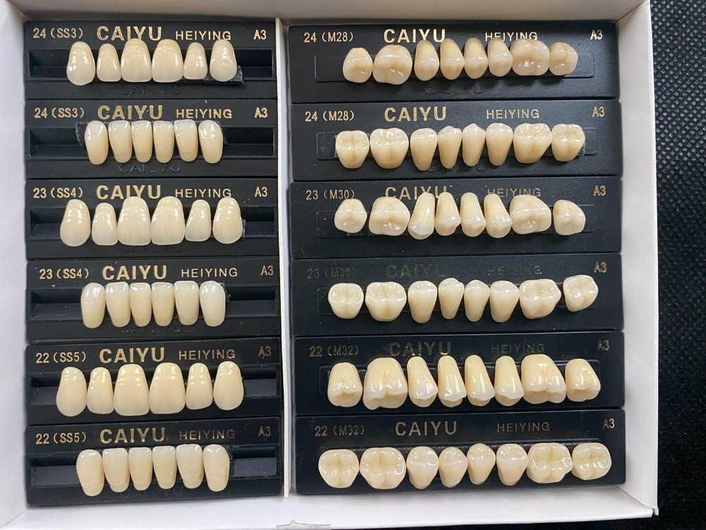 3 Complete Sets High Quality Acrylic Denture Teeth The Same color Different Size