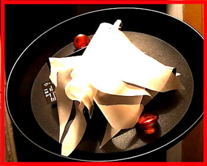 FLAME LIGHT SILK REPLACEMENT SET Visual Effects VULCAN V0-104, V0-103 fake fire