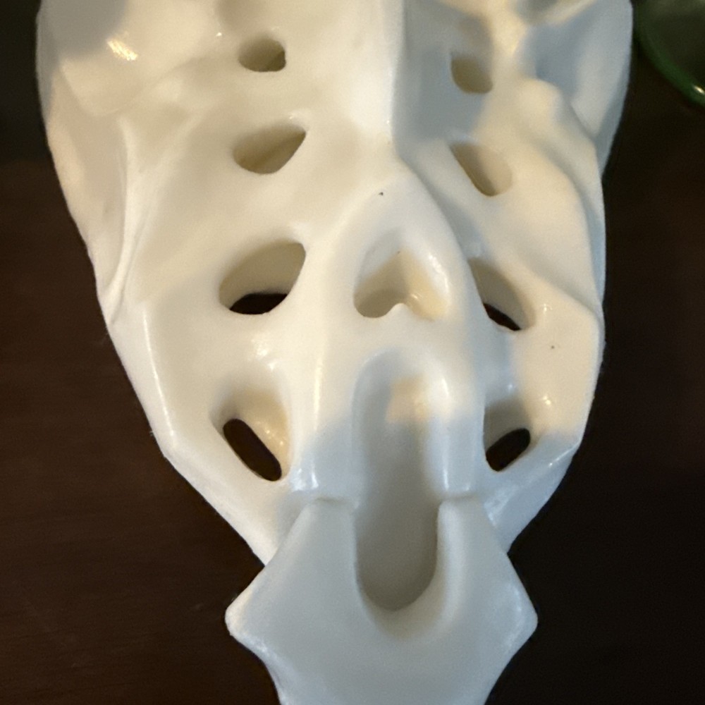 Anatomically Correct Human Coccyx Bone Model Geigy Pharma Look