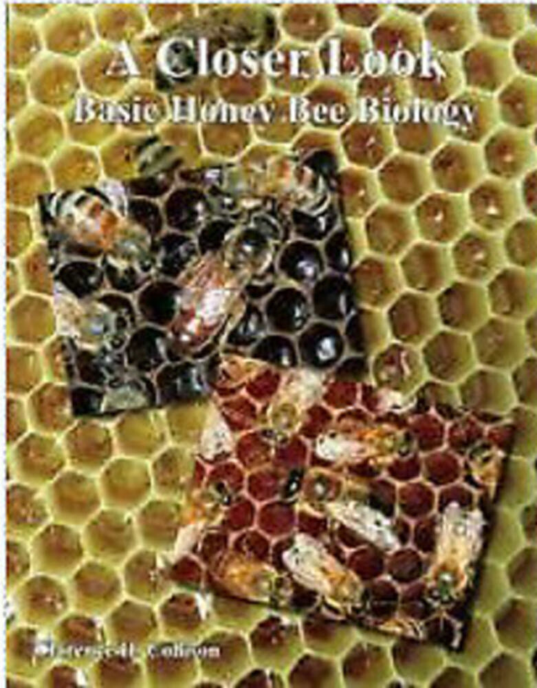 A Closer Look  Basic Honey Bee Biology by Clarence H. Collison