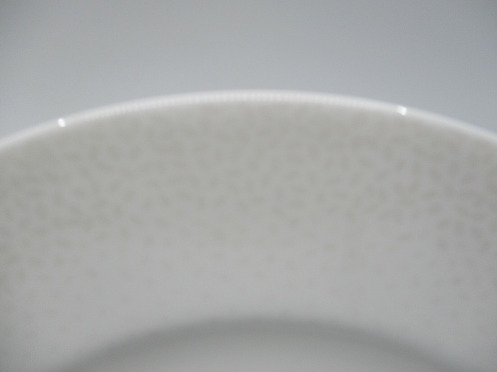 LENOX EFFERVESCENT SALAD PLATE - 9 1/4" -0703G