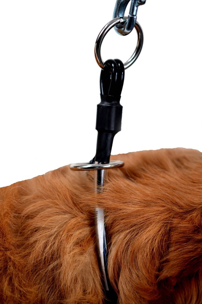 Proguard Pets Hair Saver Choker Collar
