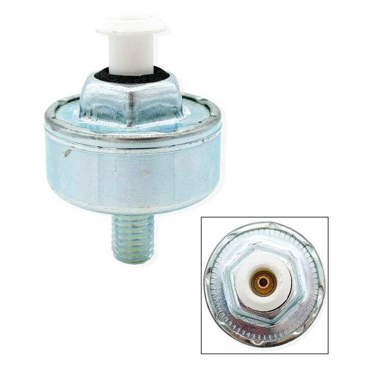 2PCS Genuine GM OEM 213-3521 12589867 Knock Sensors Chevy Silverado Express GMC