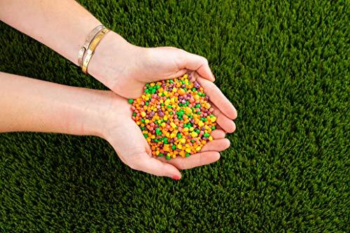 Nerds Rainbow Candy Video Box 5 Ounce [1-Box]