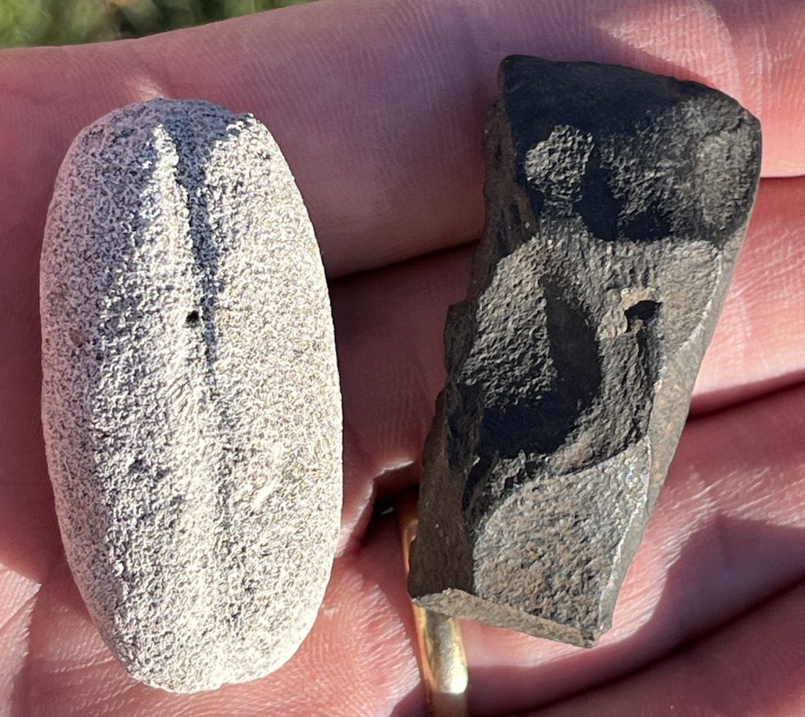 2 Pre Contact Ancient Hawaiian Finishing Adze & Weight Hawaii Artifacs