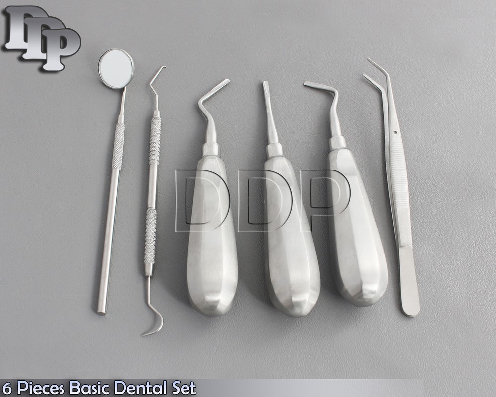 6 Pieces Basic Dental Surgery Dental Elevators Instruments Set Kit DN-446