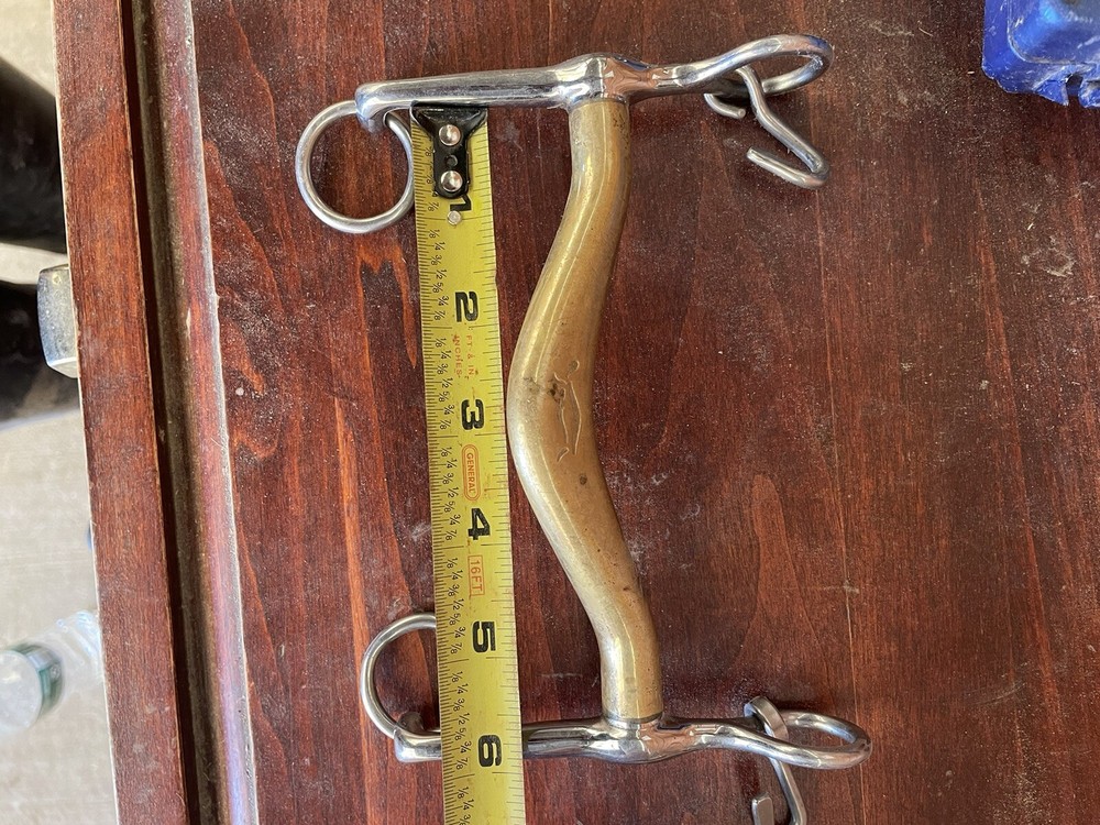 Neue Schule Turtle Tilt Weymouth.