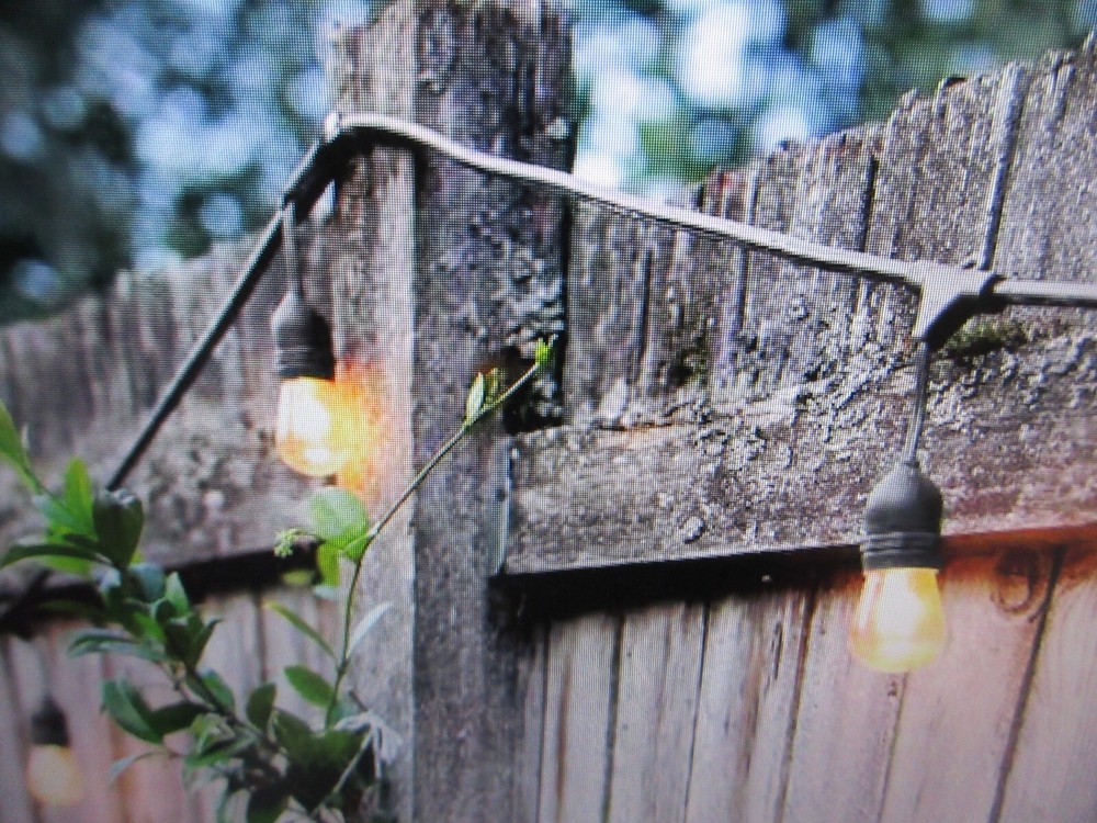 Newhouse Outdoor 48 ft. Plug-In S14 Edison Bulb LED String Light & Remote
