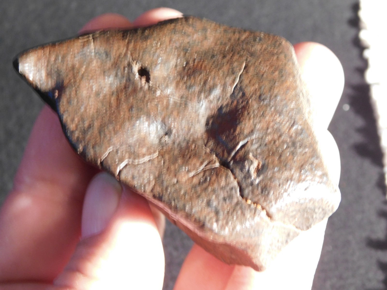 Larger! Stony METEORITE with DARK Fusion Crust and REGMAGLYPTS Libya 251gr