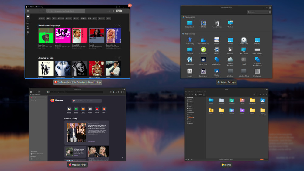 Linux Mint 22.1 Upgrade Kit (for PC, Laptop, MacBook, iMac, Mac Mini) #10