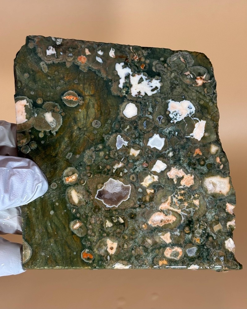 Exquisite Rainforest Jasper SET