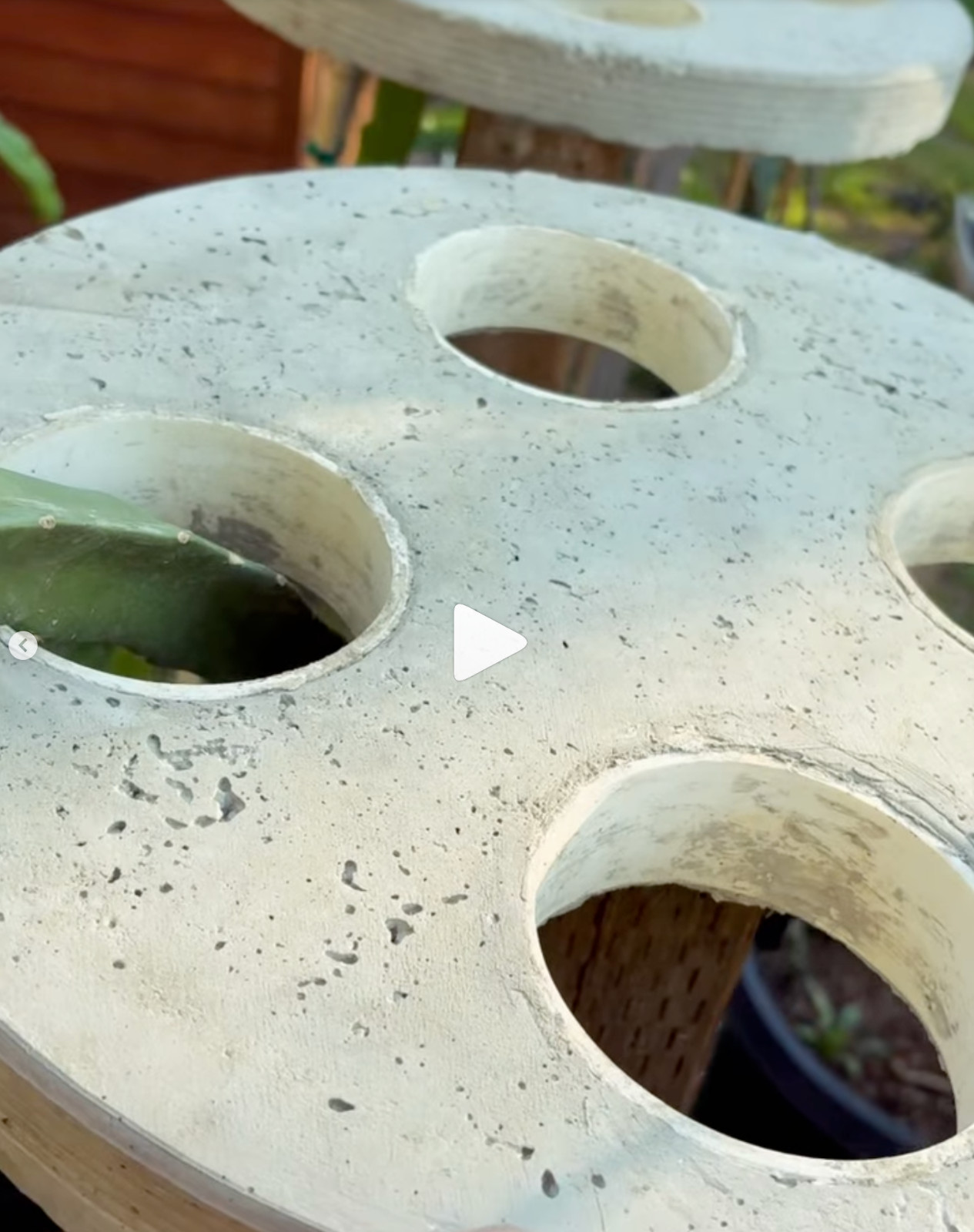 Dragon Fruit Trellis Topper with FREE LED SOLAR LIGHT Screw Direct to 4x4 Post