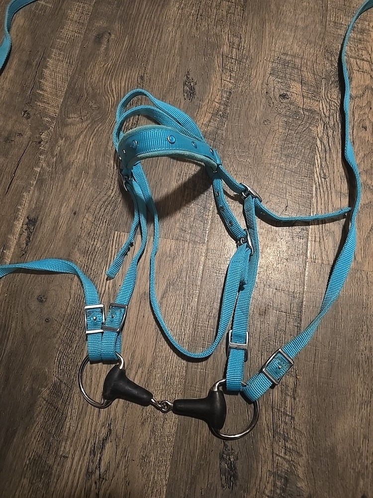 Westeen Bridle And Breastplate