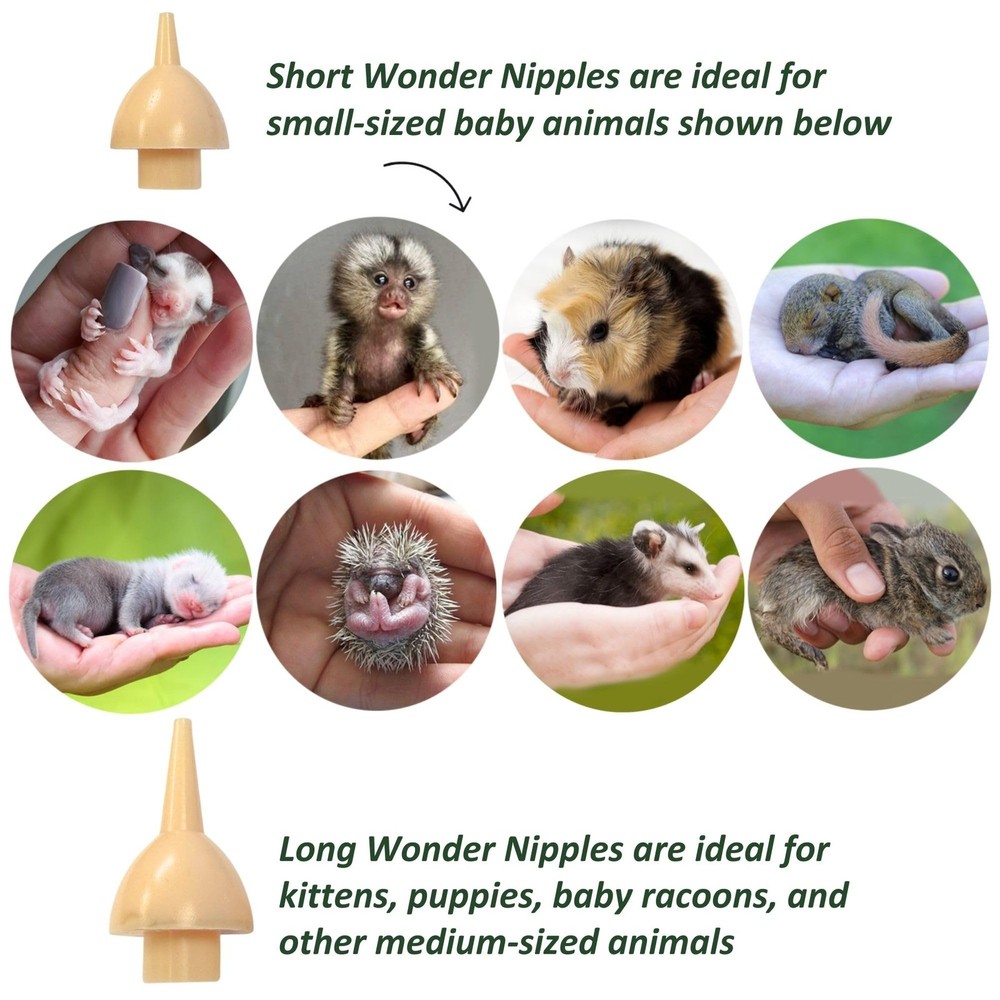 Baby Squirrel Nursing Set (Basic) - Milk Replacer, Feeding Syringes