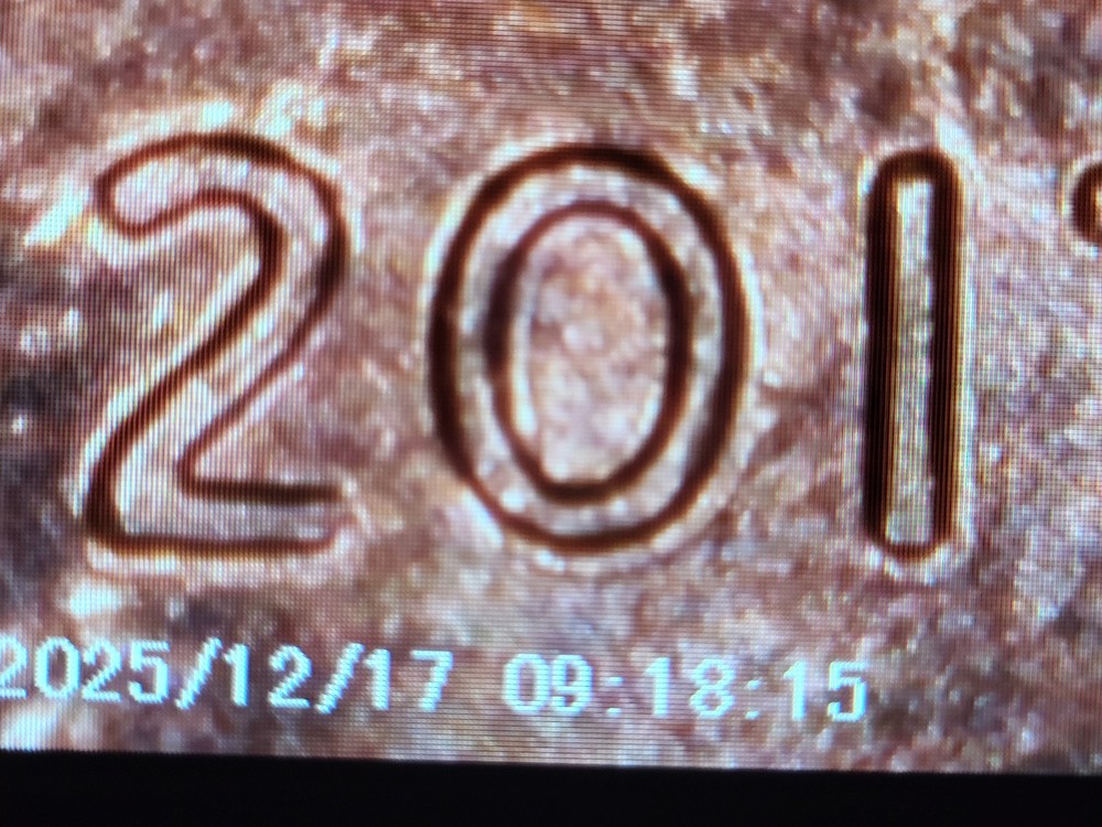 2017 P Lincoln Memorial Penny. Plating Errors, Bubbles,DDO, DDR Errors, Wide AM