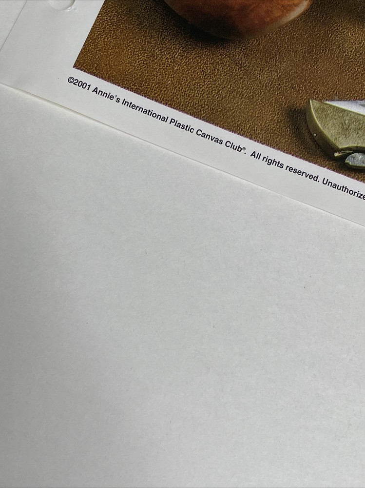 Dad's Stuff Box Annie's Plastic Canvas Pattern