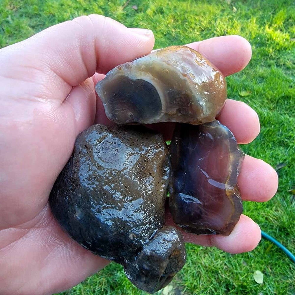 Random Pull RARE Botswana Agate Rough! Old Stock Lapidary Stone Materials!