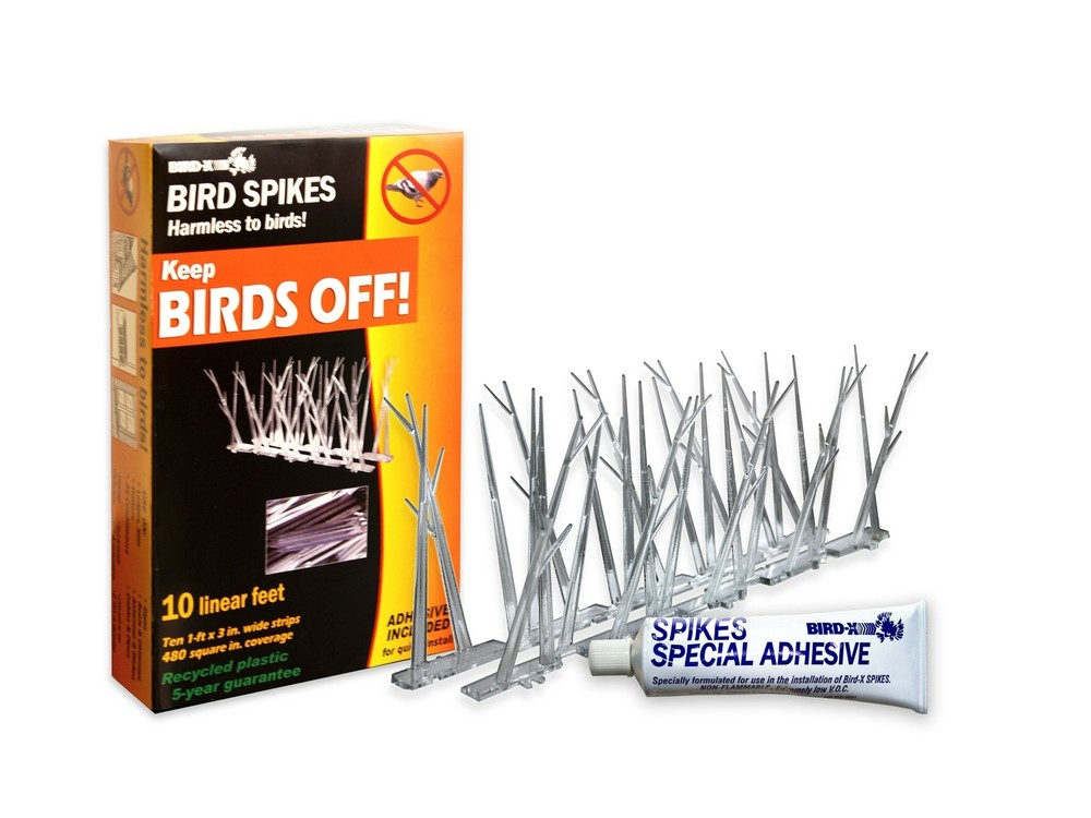 Bird-X Plastic Polycarbonate Bird Spikes Kit Adhesive Glue Covers 10ft Coverage