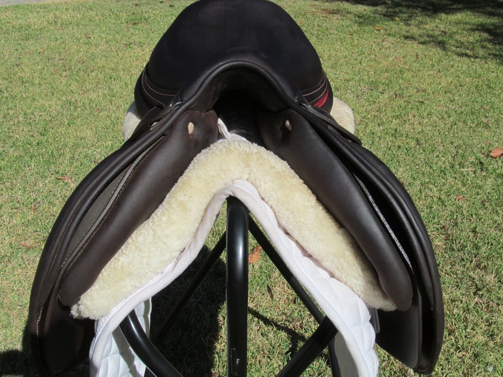 17.5" ANTARES EVOLUTION D buffalo close contact jumping saddle-2023 MODEL!!!!