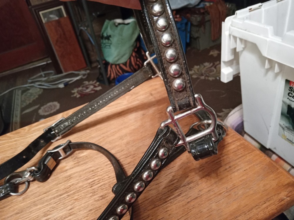 Used biothane Show Halter black spotted