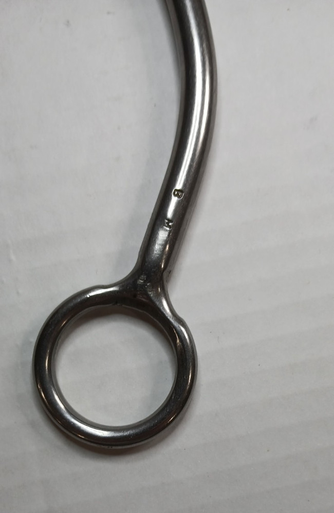 Bit Master BM 5” Shank Bit w/ Leather Curb Strap – Polished
