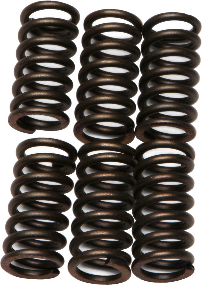 EBC CSK Clutch Spring Kit CSK9