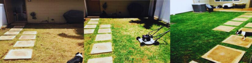 Hydro Mousse Liquid Lawn HouseHold Seeding System Spray Seed Care Grass To Shoot