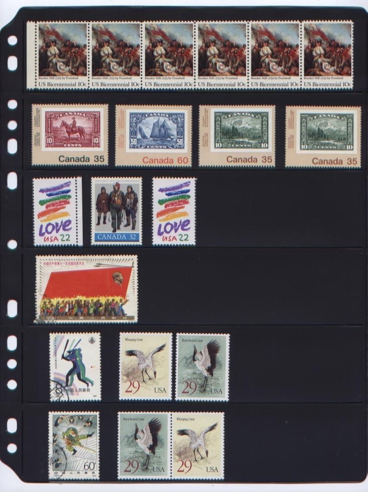 ANCHOR 10 Stock Pages 6S (6-Rows) Sheets - Black sheets, FREE Priority SHIPPING