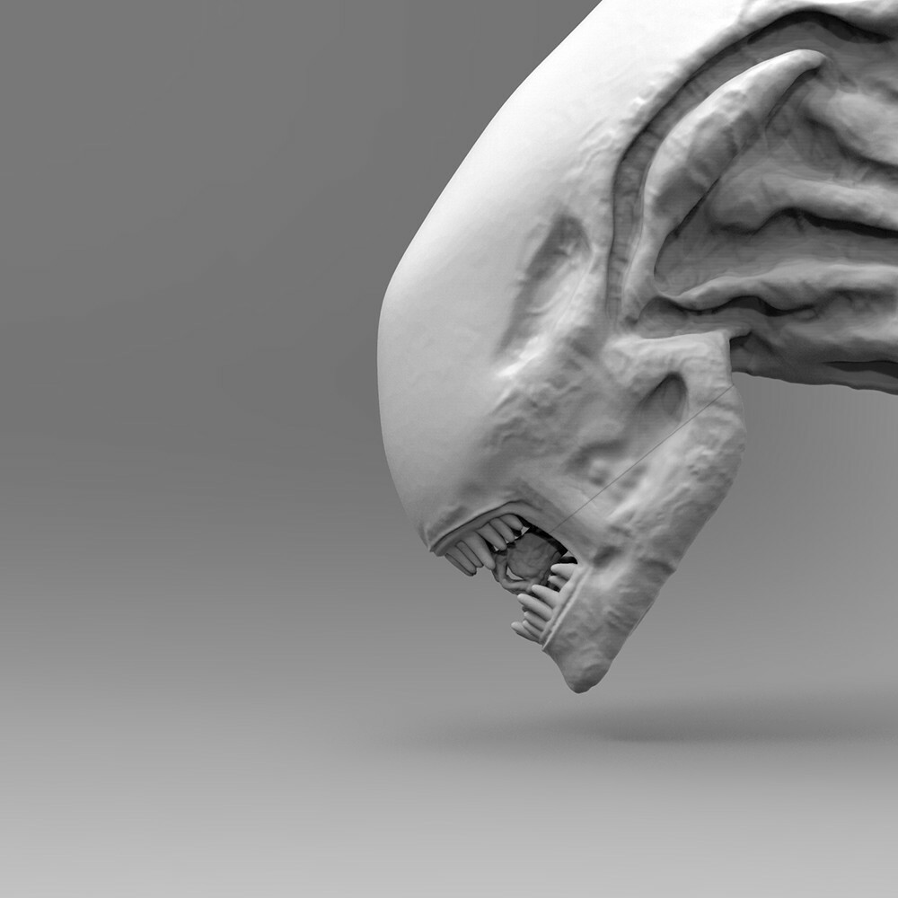 Alien Xenomorph With Hatched Eggs Diorama 3D print model