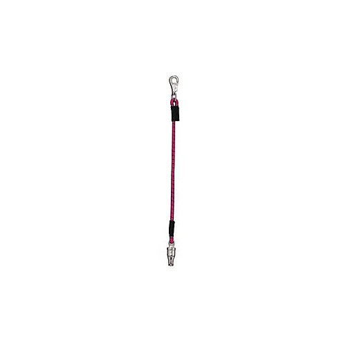 Weaver Bungee Trailer Tie Pink