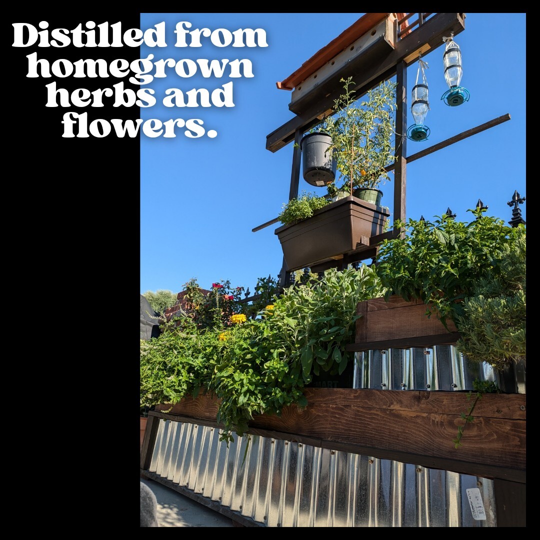 6 Handmade Tallow Soap Bars | Cold Process | Natural | Sensitive Skn | 6oz Each